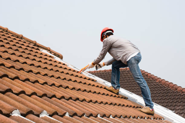Best Commercial Roofing Services  in Tuskegee, AL